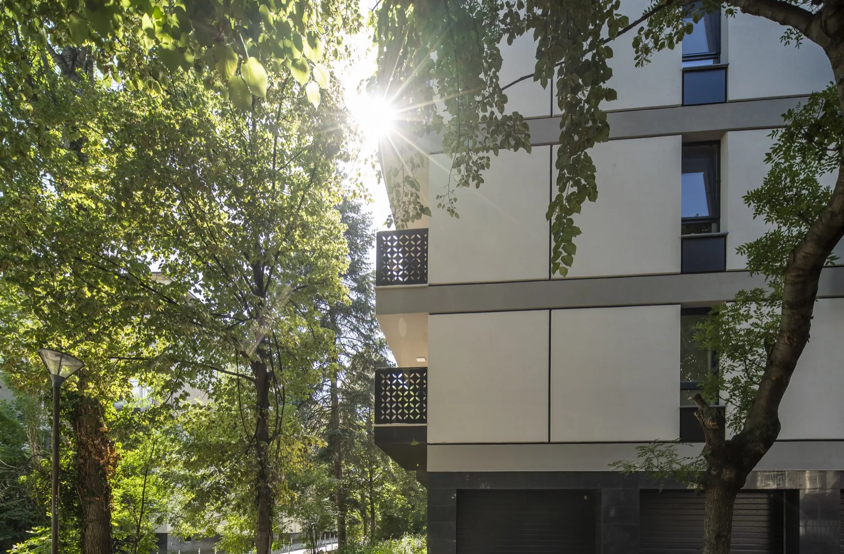 Tera Soleo — image 4