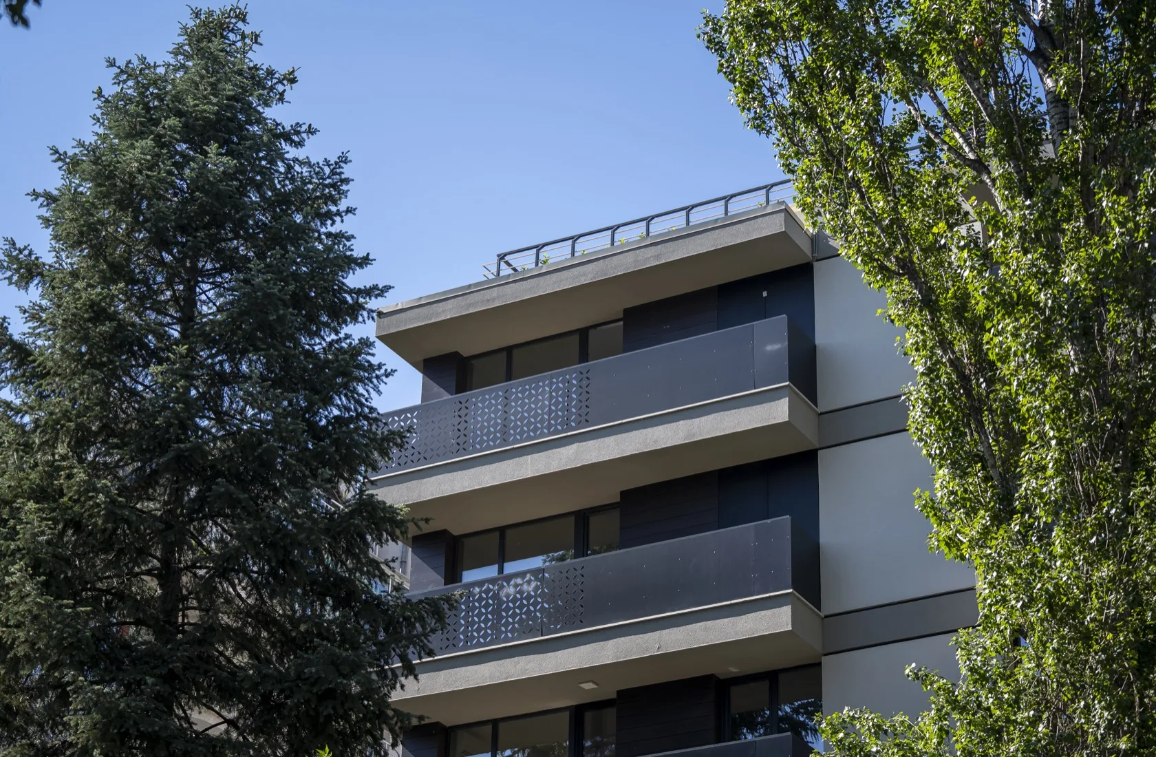 Tera Soleo — image 8
